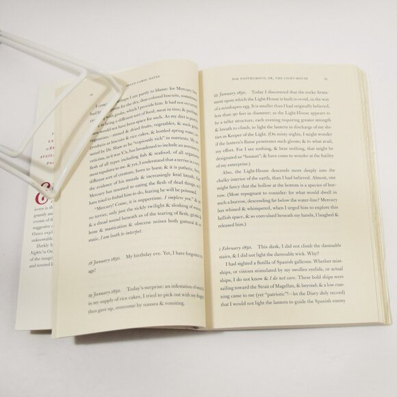 Wild Nights Last Days Poe Dickinson Twain James Hemingway Joyce Carol Oates 2015 - Picture 12 of 13